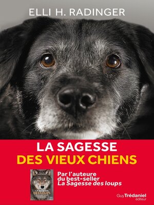 cover image of La sagesse des vieux chiens